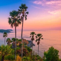 景点模块 