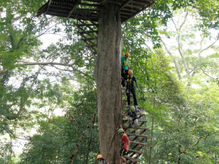 泰國普吉島旅游報(bào)團(tuán)價(jià)格_泰國普吉島旅游大約多少錢_泰國普吉島游跟團(tuán)多少錢