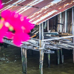 玛哈拉码头文青市集