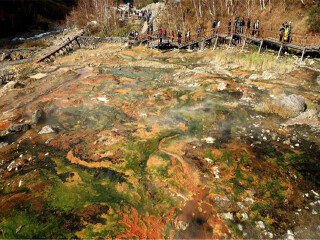 東北長(zhǎng)白山旅游花多少錢_東北長(zhǎng)白山旅游價(jià)格多少_東北長(zhǎng)白山旅游一次多少錢