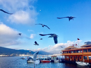 云南旅游的價格_云南旅游高端團_云南十一日游旅游團
