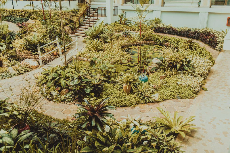 酒店大堂内部有个挺大的室内植物园