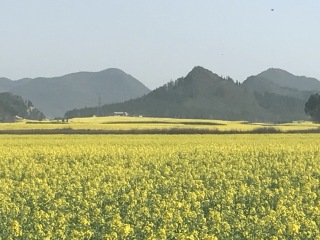 云南旅游的價格_云南旅游高端團_云南十一日游旅游團