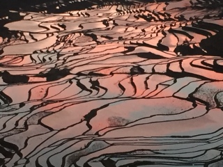 云南旅游的價格_云南旅游高端團_云南十一日游旅游團