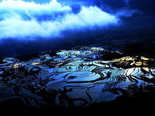 云南旅游的價格_云南旅游高端團_云南十一日游旅游團