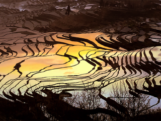 云南旅游的價格_云南旅游高端團_云南十一日游旅游團