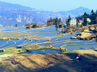云南旅游的價格_云南旅游高端團_云南十一日游旅游團