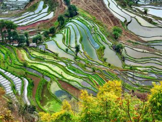 云南旅游的價格_云南旅游高端團_云南十一日游旅游團
