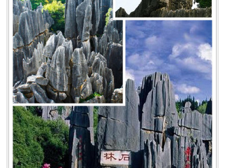 西双版纳5晚6日旅游_2023西双版纳九日游多少钱_西双版纳7日跟团旅游
