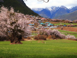 西藏布達拉宮旅游大約多少錢_報團去西藏布達拉宮多少錢_近期西藏布達拉宮游價格