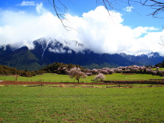 西藏布達拉宮旅游大約多少錢_報團去西藏布達拉宮多少錢_近期西藏布達拉宮游價格