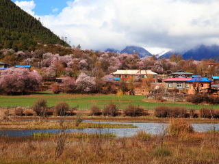 西藏布達拉宮旅游大約多少錢_報團去西藏布達拉宮多少錢_近期西藏布達拉宮游價格