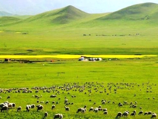 青海湖私人定制旅游_青海湖旅游跟團(tuán)多少錢_青海湖自由行旅游團(tuán)
