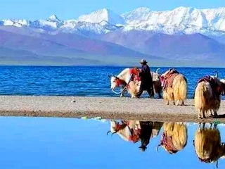 青海湖私人定制旅游_青海湖旅游跟團(tuán)多少錢_青海湖自由行旅游團(tuán)