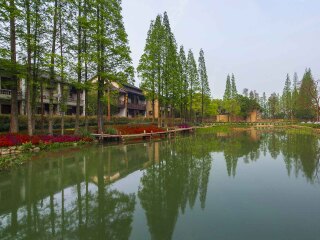 華東烏鎮(zhèn)八月份旅游_華東烏鎮(zhèn)旅游跟團(tuán)需多少錢_8月華東烏鎮(zhèn)旅游
