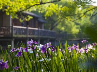華東烏鎮(zhèn)八月份旅游_華東烏鎮(zhèn)旅游跟團(tuán)需多少錢_8月華東烏鎮(zhèn)旅游