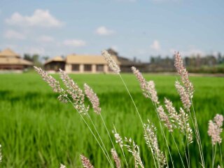 華東烏鎮(zhèn)八月份旅游_華東烏鎮(zhèn)旅游跟團(tuán)需多少錢_8月華東烏鎮(zhèn)旅游