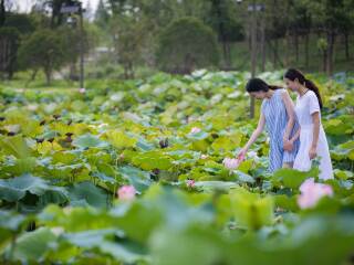 華東烏鎮(zhèn)八月份旅游_華東烏鎮(zhèn)旅游跟團(tuán)需多少錢_8月華東烏鎮(zhèn)旅游