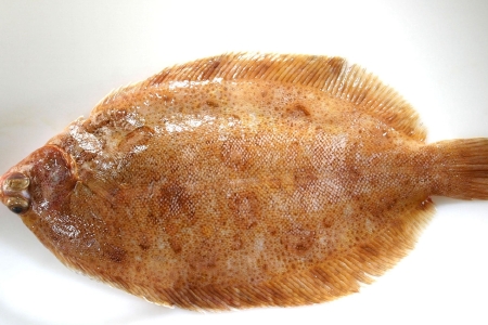 food_picture