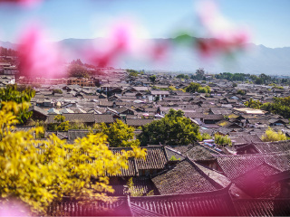 云南香格里拉最佳旅游路線_云南香格里拉游花多少錢_到云南香格里拉旅游報團(tuán)價格