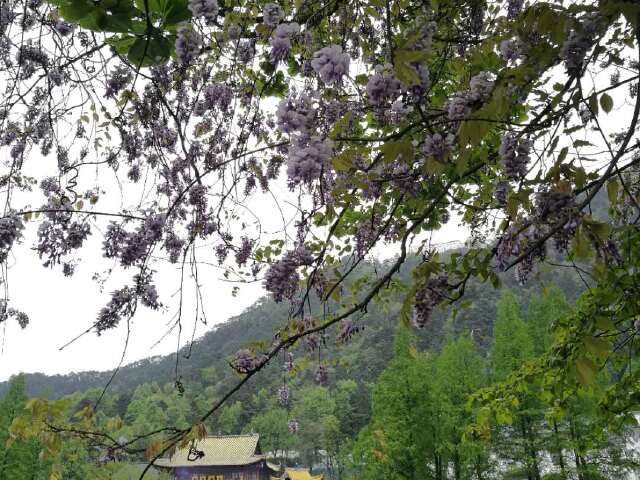 http:\/\/www.tuniu.com\/tour\/210671889