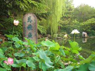 泰山北部旅游_泰山7日游费用_去泰山旅游报价