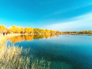 春节假期去额济纳旗胡杨林游价格_去额济纳旗胡杨林旅游十一天要多少钱_额济纳旗胡杨林十一旅游团