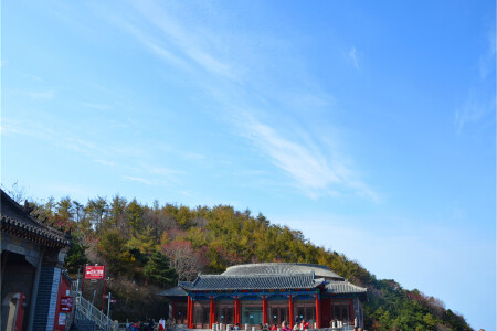 <青岛-崂山-蓬莱-威海-泰山-曲阜-济南8日游>畅玩景点5A景区（当地参团）