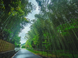 去日本旅游度假_日本旅游哪儿好_香港旅游团日本