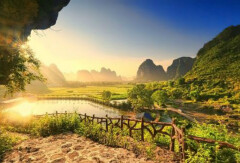 活动模块 