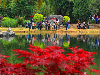 云南旅游三日游价格_云南旅游优惠_去云南旅游网