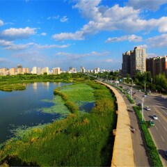 活动模块 