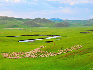 呼倫貝爾高端品質(zhì)旅游團_2021去呼倫貝爾跟團多少錢_呼倫貝爾游跟團