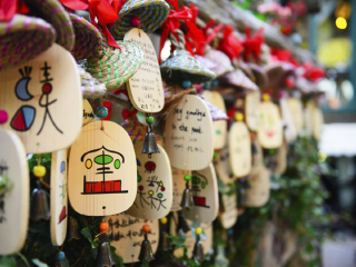 云南麗江旅游一次多少錢_去云南麗江旅游怎么走_云南麗江游花多少錢