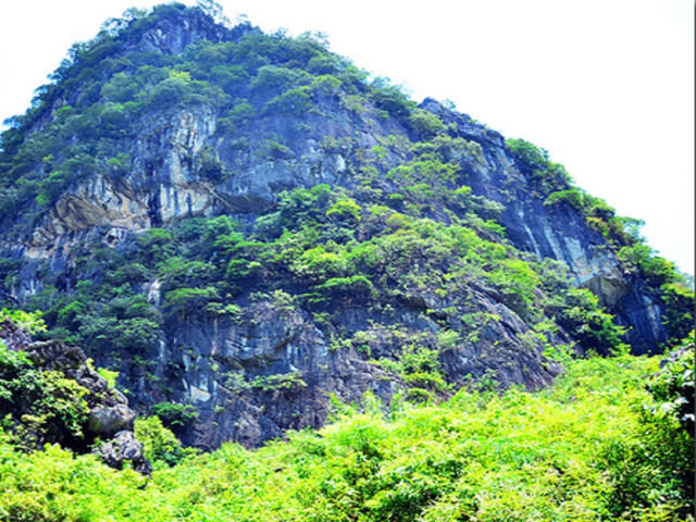 [五一] 清远连山2日跟团游>游广东金子山,赏满山盛开杜鹃花,打卡全国