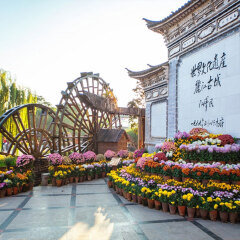 活动模块 