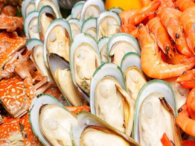 青口gdp_青口贝图片