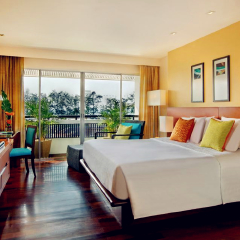 巴东瑞士 酒店模块