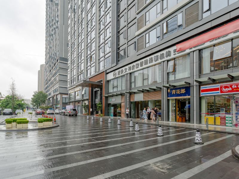 成都水月静花公寓(成汉南路交子大道口分店)