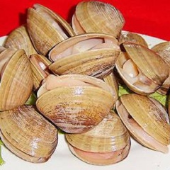 餐饮模块 