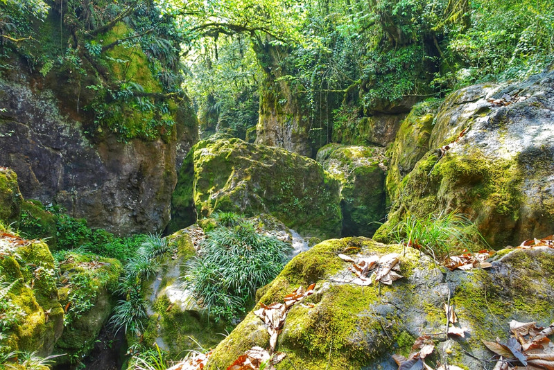 龙苍沟森林公园