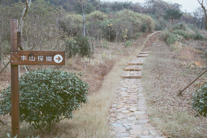 海盐丰义村这样玩