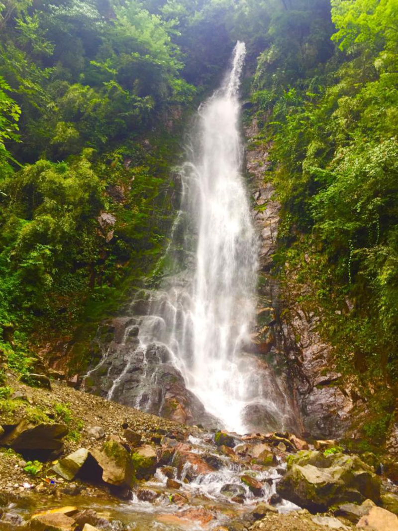 西岭前山大飞水科普之旅-带儿子认识美丽的植物