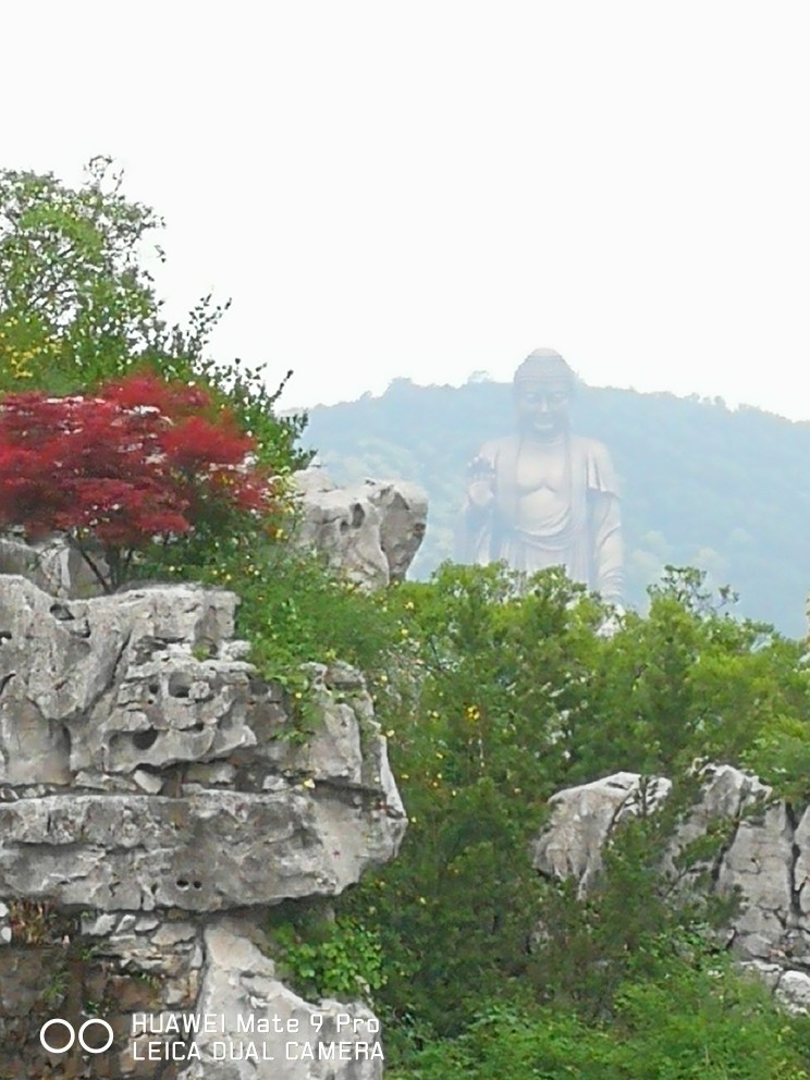  华东五市-灵山大佛-杭州-乌镇双高5日游>轻松优享,宿国际五星酒店