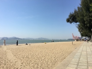 廈門鼓浪嶼旅游多少錢一個(gè)人_現(xiàn)在到廈門鼓浪嶼旅游多少錢_去廈門鼓浪嶼旅游怎么走