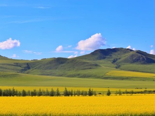 呼伦贝尔7日游旅行团_2023去呼伦贝尔跟团多少钱_旅游呼伦贝尔