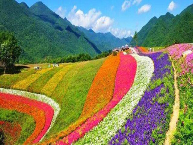 http:\/\/www.tuniu.com\/tour\/210636405