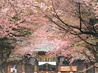 日本旅游花費一般多少_9月份日本游價格_日本私人定制旅游