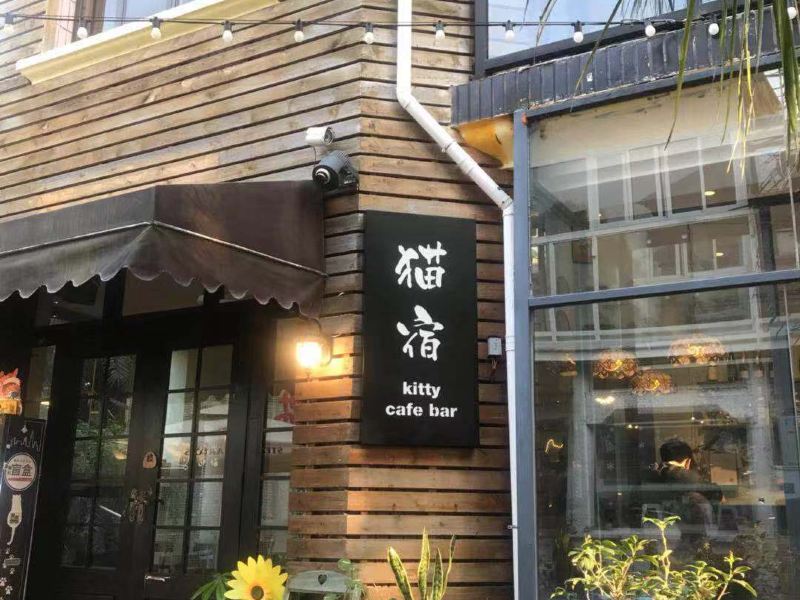 厦门猫宿客栈