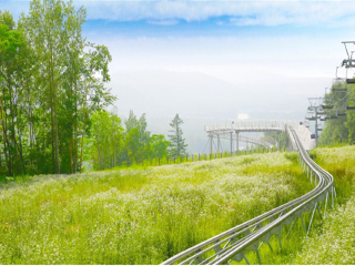 東北長(zhǎng)白山旅游花多少錢_東北長(zhǎng)白山旅游價(jià)格多少_東北長(zhǎng)白山旅游一次多少錢